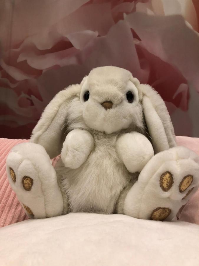 Pan Pan Le Lapin Aubagne-Cassis-Aix En Provence Lejlighed Eksteriør billede