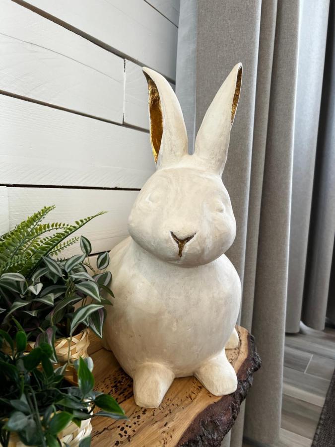 Pan Pan Le Lapin Aubagne-Cassis-Aix En Provence Lejlighed Eksteriør billede
